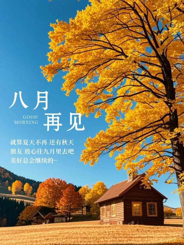 一芽一叶一芽两叶区别_芽理日语怎么读_理芽