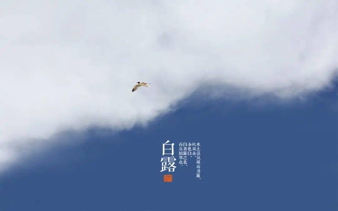 白露塘杀猪粉加盟官网_白露_白露节气的含义是什么
