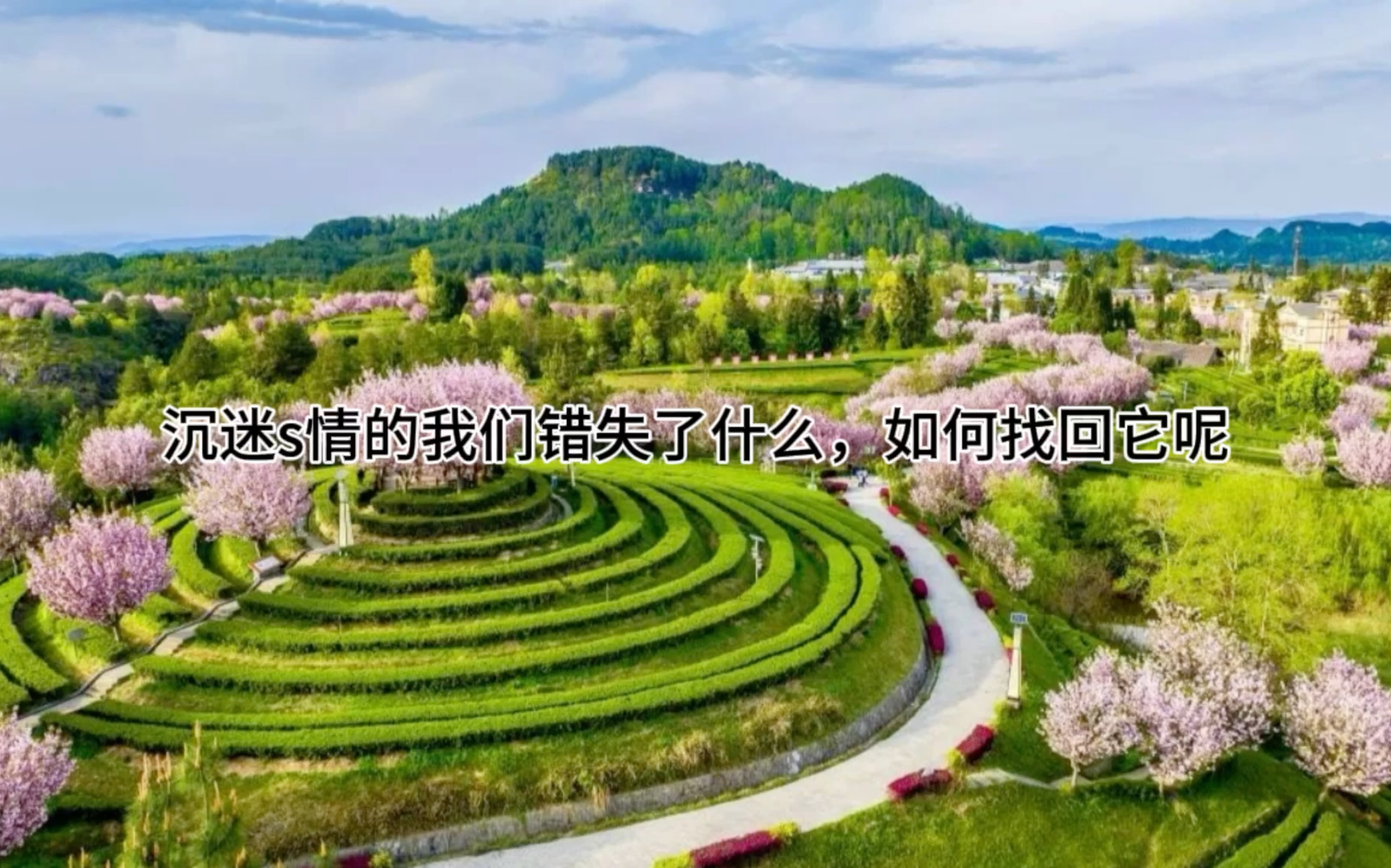 游戏回报率_回报手机游戏_回报手机游戏的软件