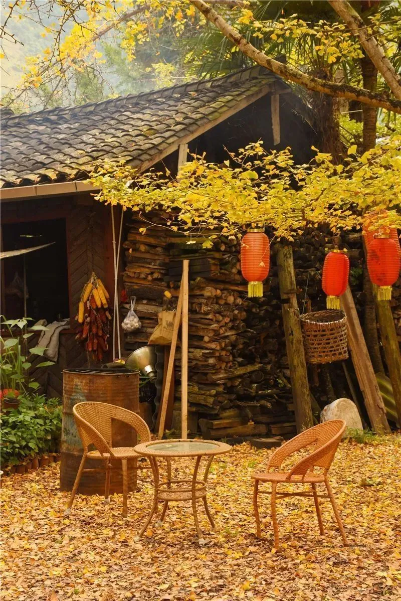恋活手机版_恋活最高画质_恋活2手机版游戏画面