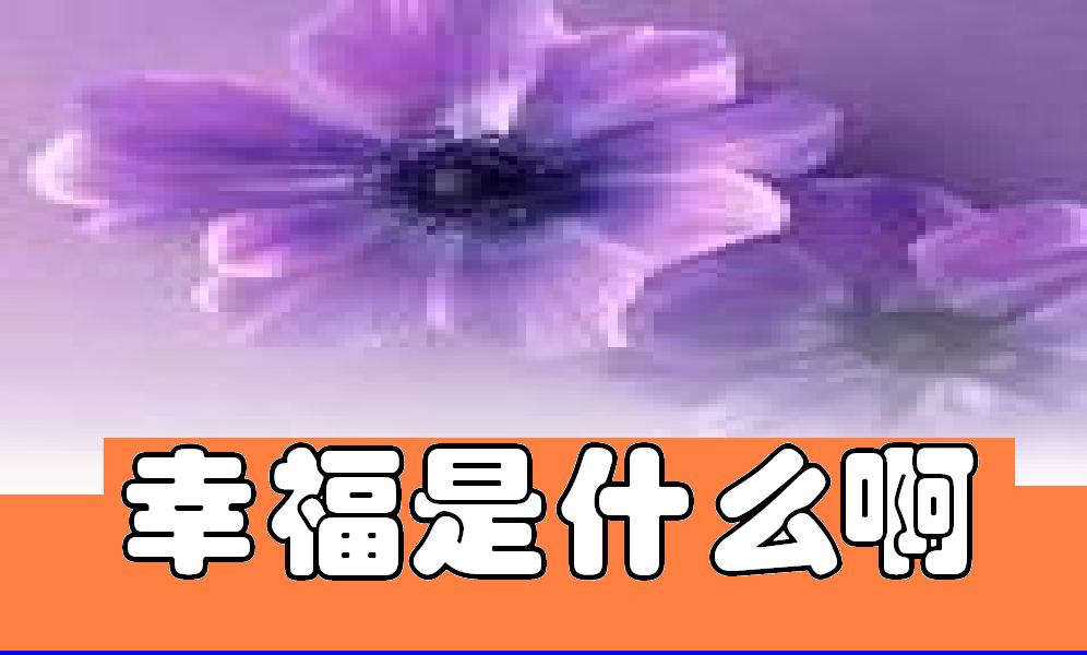 三日间的幸福经典语录_三日间的幸福_三日间幸福故事情节简介
