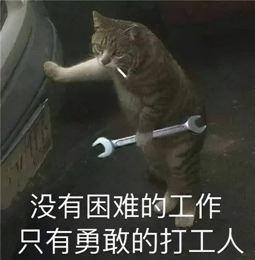 打游戏打工,平衡娱乐与奋斗的青春篇章
