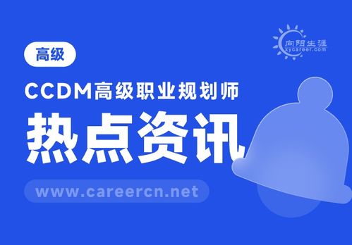 mbti官网免费版2024 