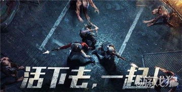 蛋仔派对渠道服下载 