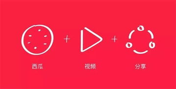 西瓜视频在线免费观看 
