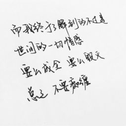 我开车贼猛 