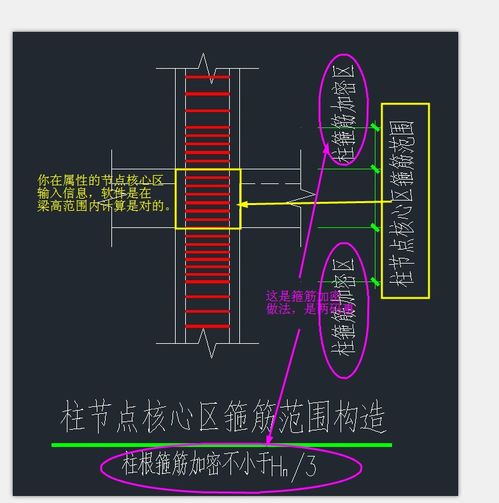 节点生活 