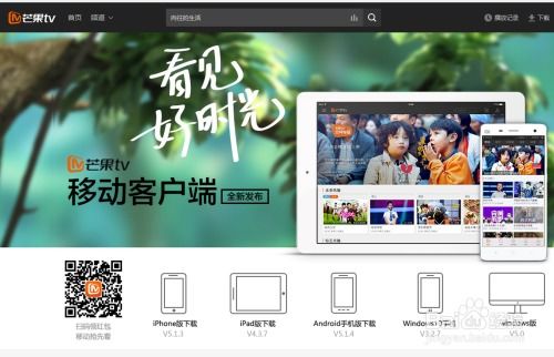 芒果tv电视剧 