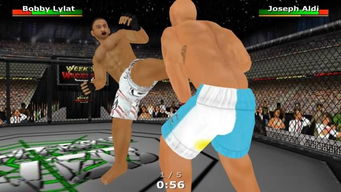 游戏MMA,真实格斗体验与竞技魅力解析