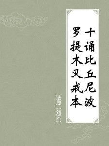 阿波罗太空拼图 