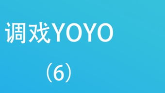 yoyo记账 