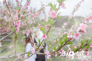 影落桃花诀 