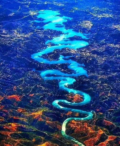 寻龙探墓 