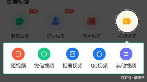 怎么样才能不当社畜:妻子的故事 