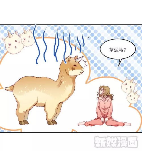 小黄书免费版 