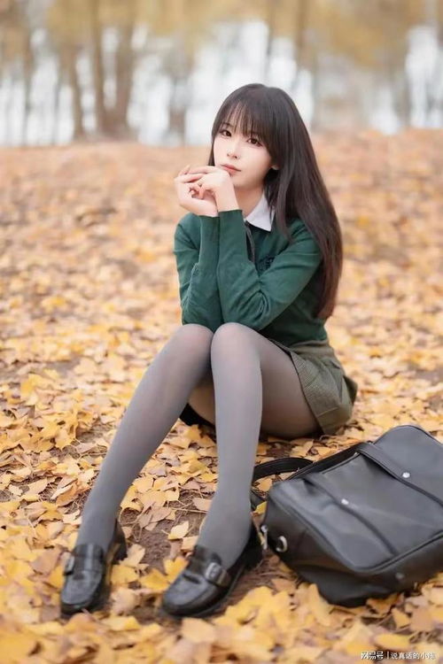 制服女友中文下载安装 