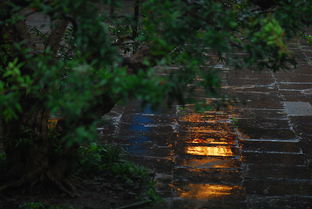 身边及时雨 ***  