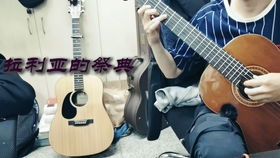 瑟拉利姆终极版 
