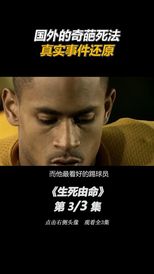 放置碎人 