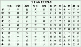 八字排盘宝 
