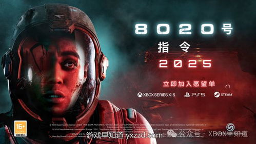 8020游戏,平衡策略与挑战的竞技盛宴