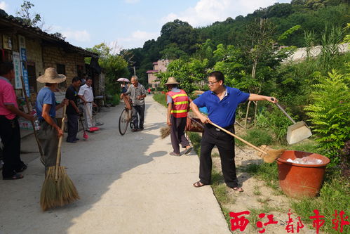 全民职培 