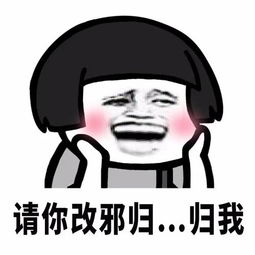 我从乞丐到总裁 