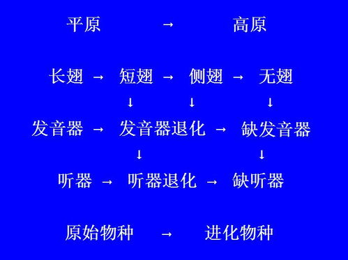 快乐的拼图女孩 