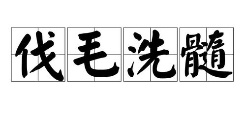 伐毛洗髓