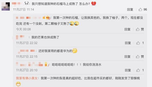 拼多多下载安装免费2024新版 