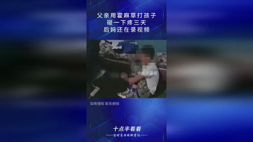 麦看视频 