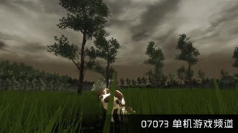 青草游戏,探索自然与童趣的绿色乐园