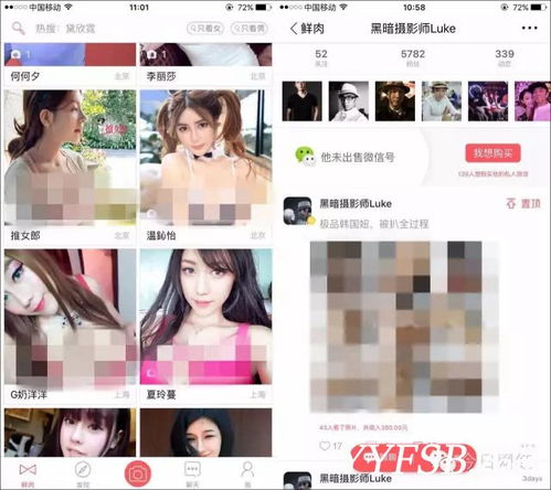 低调看直播免费app 