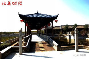 爱礼包 