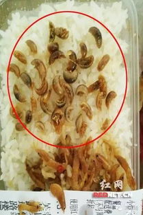 图片照片修复 