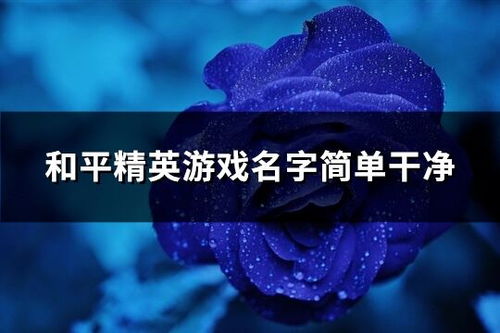 网名生成器 
