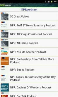 游戏npr,NPR游戏深度解析
