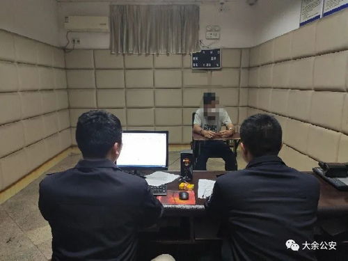 刘某游戏,探索虚拟世界的奇幻之旅