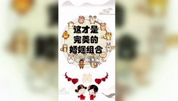 口袋妖怪日月宝石八木特别篇内置修改器 