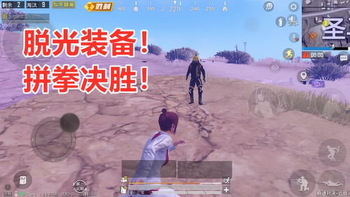 拼拳游戏,挑战极限的竞技对决
