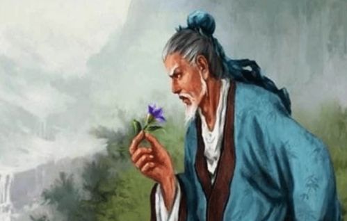 谁是谁 