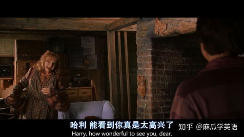 哈利波特魔法觉醒官服安装包apk 