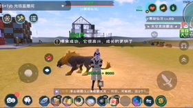 游戏手气,揭秘手气背后的奥秘