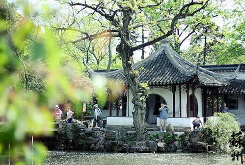 四大名捕战天王手游下载 