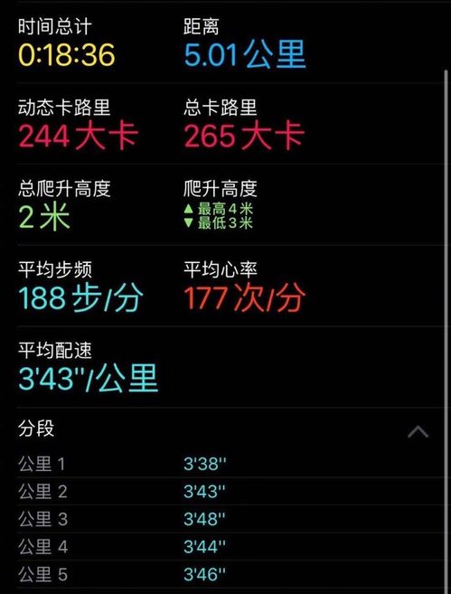 怎么样才能不当社畜:妻子的故事 