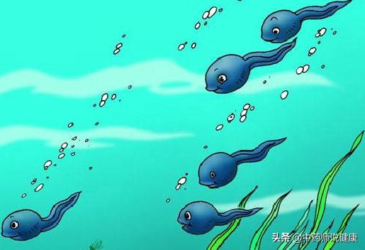 石榴视频网站app下载 