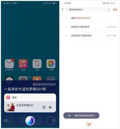 你叫什么鸭 