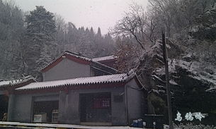 黑乌鸦手游 