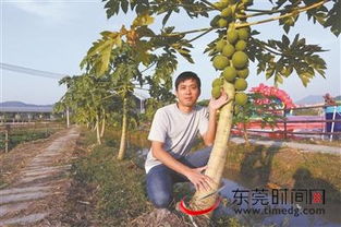 小小牧场主 
