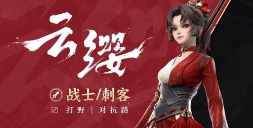 云缨去布料